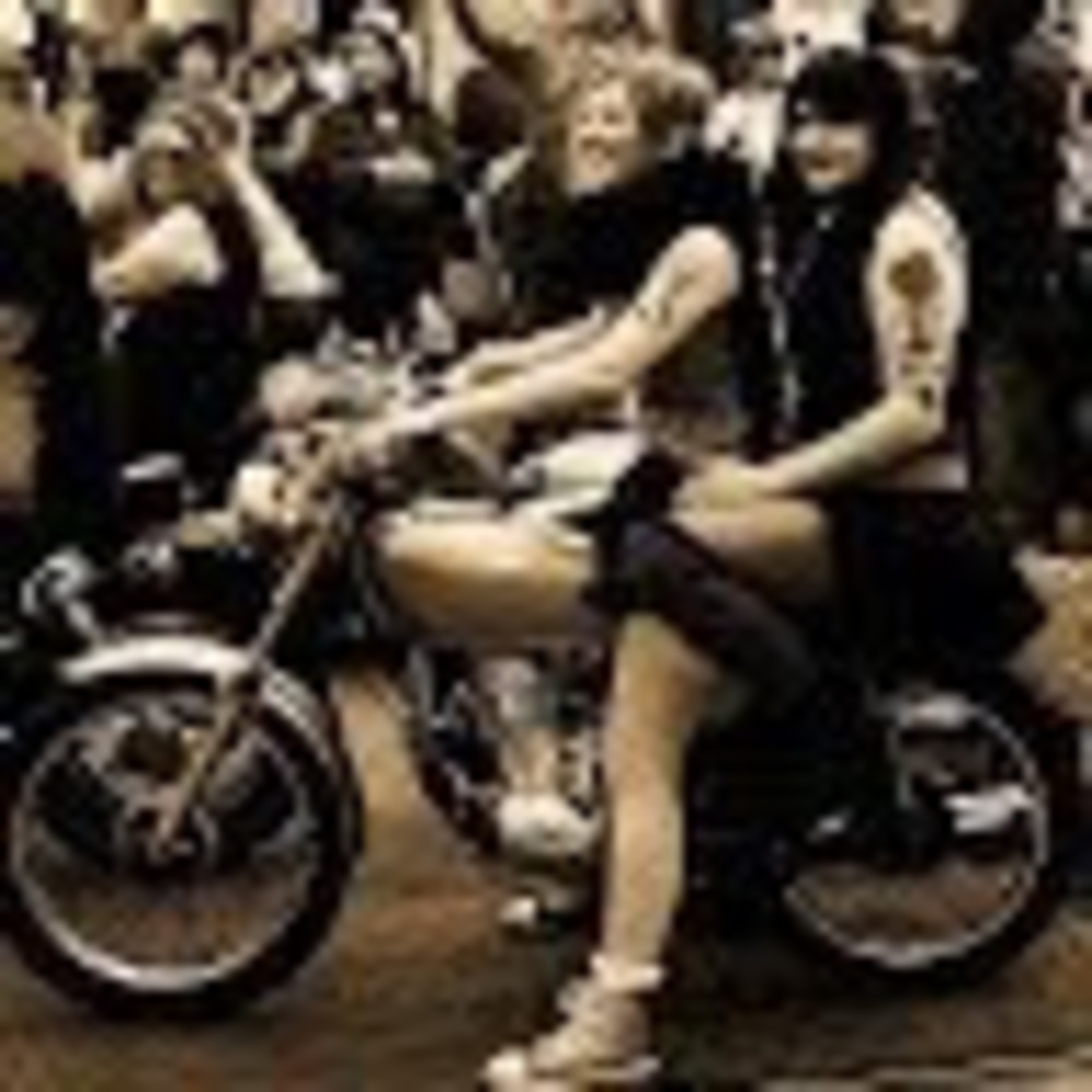 Meet your Posher, Misty